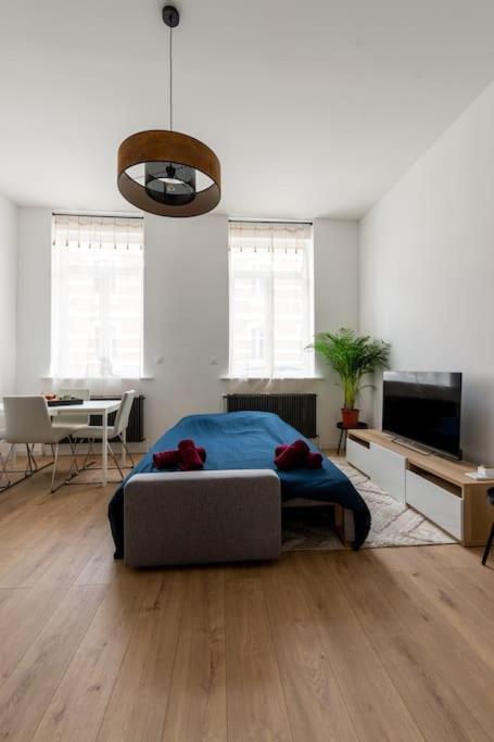 Le Solfe -Magnifique T2 Apartman Lille Kültér fotó