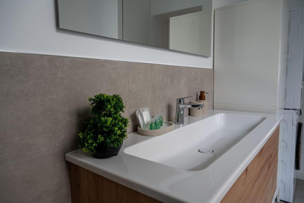 Le Solfe -Magnifique T2 Apartman Lille Kültér fotó